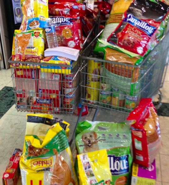 dons alimentaires