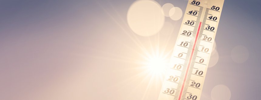Canicule