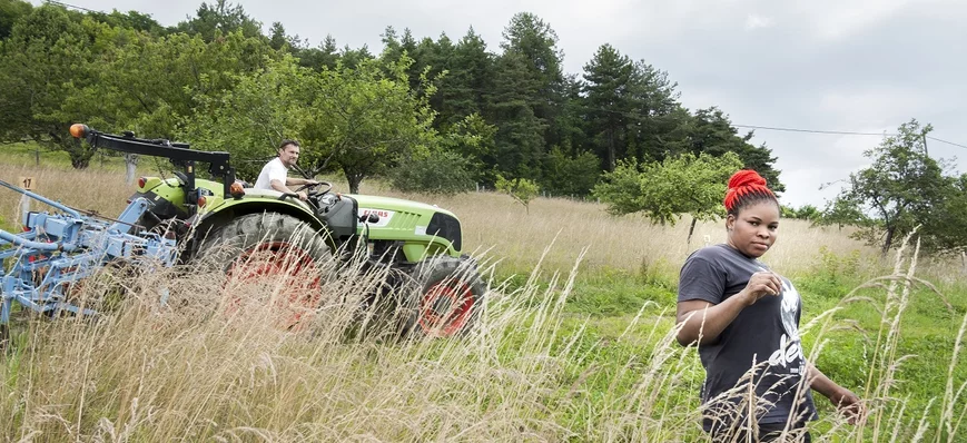 Insertion : redynamiser les campagnes en formant d