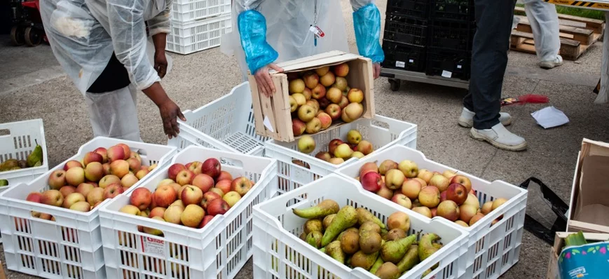Insertion par l’activité économique : 101 000 pers