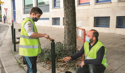 Vers une meilleure insertion dans l’emploi durable