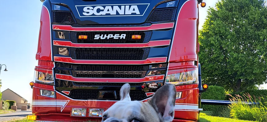 Carte postale des trucks shows #8 : le chien et Le