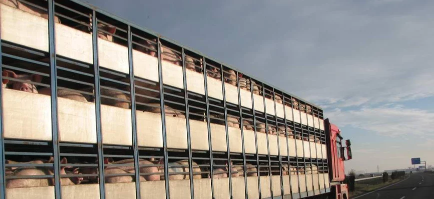 L’OTRE émet des propositions sur le transport d’an