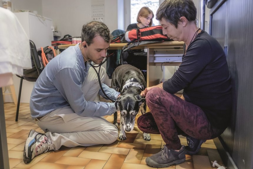 Solivet animaux sans abrisme hébergement d'urgence précarité soins