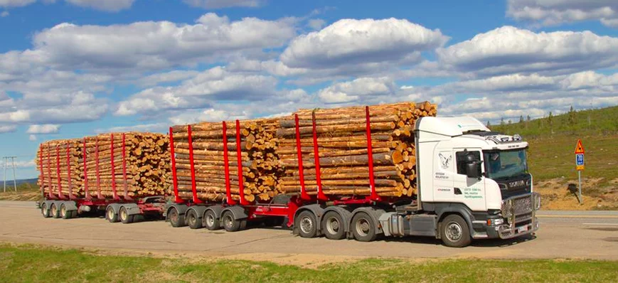 Camions grumiers : bois courts, trains longs
