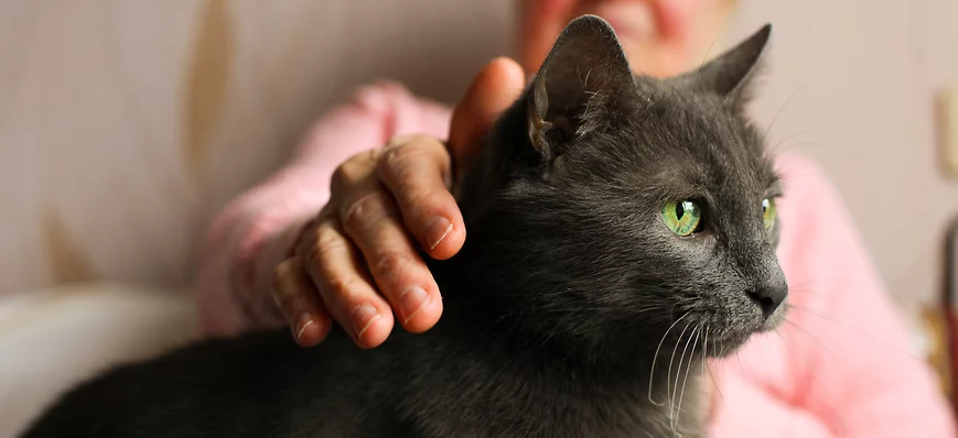 Les animaux des résidents seront désormais les bie