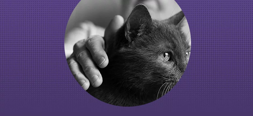 Des histoires d'animaux