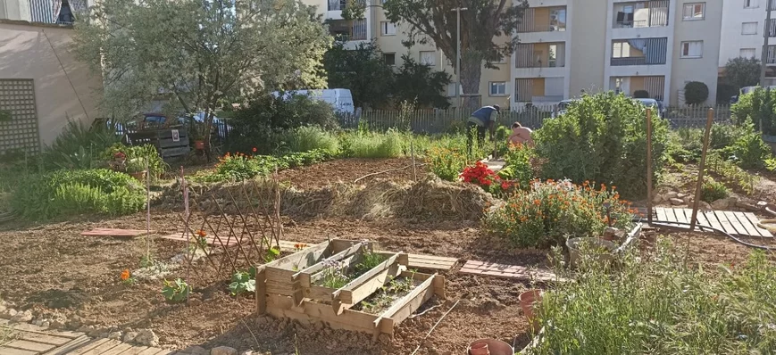 Approche communautaire : des jardins collectifs co