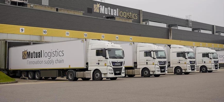 Transport frigorifique : Mutual Logistics (14) pre
