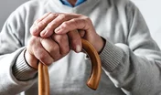 MJPM : quelles pièces fournir pour une demande d’agrément ?