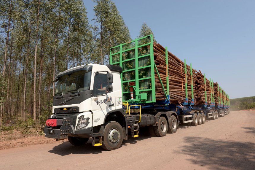 Brésil : six semi-remorques transportant du bois