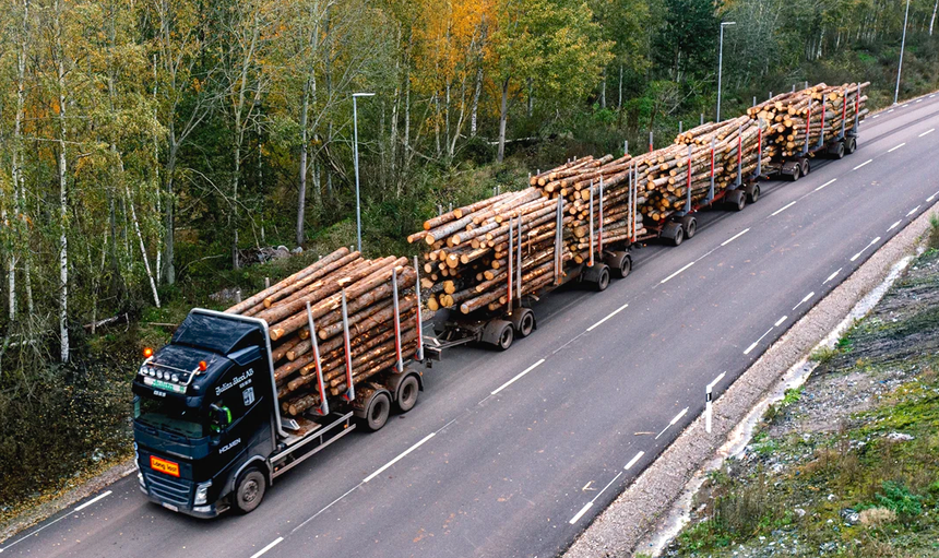 Ce train routier suédois serait le plus grand camion grumier d'Europe