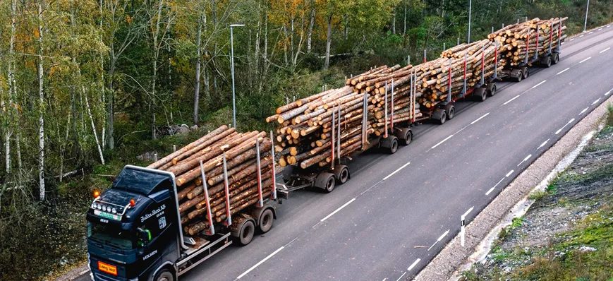 Voici le plus grand camion grumier... d'Europe