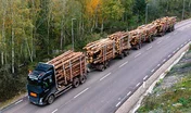 Ce train routier suédois serait le plus grand camion grumier d'Europe