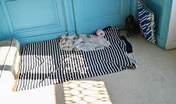 FRANCE-HOMELESS-WOMEN-CHILDREN-OCCUPYING-EMPTY-BUILDING-BELONGIN