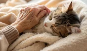 Médiation animale : comment assurer un encadrement efficace ?
