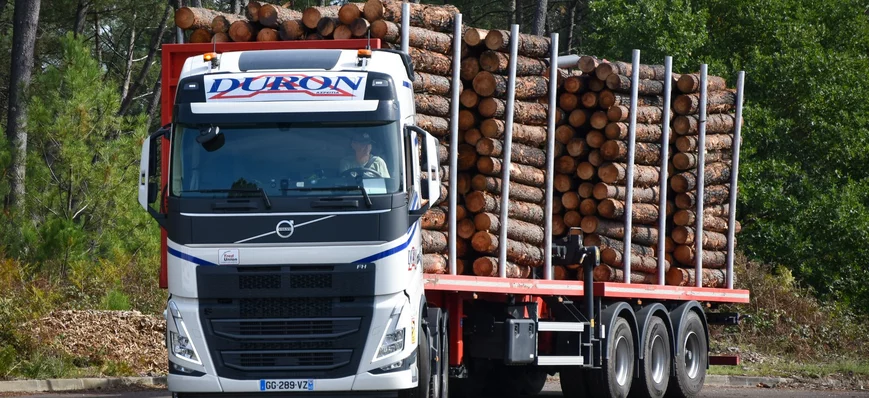 La filière du bois à l’épreuve du nématode du pin