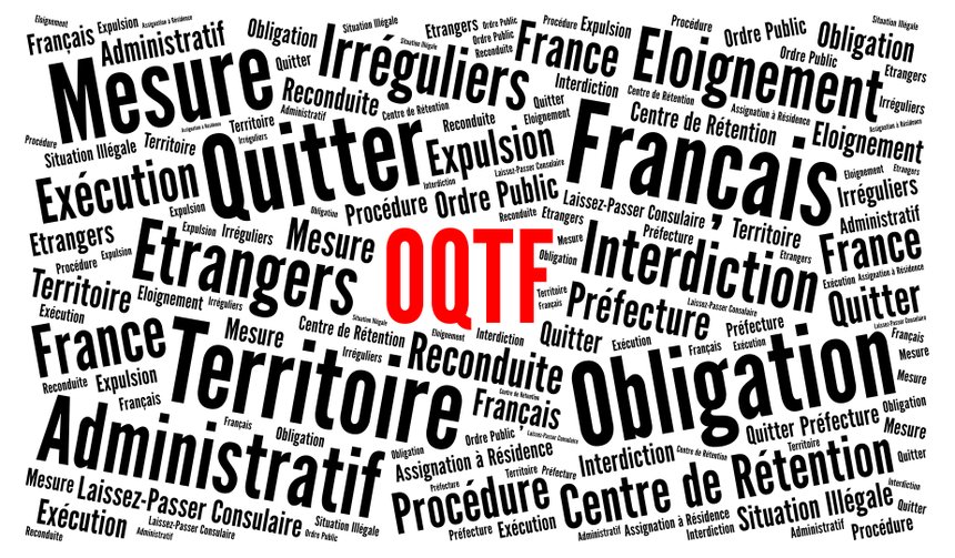 Le Conseil constitutionnel valide les dispositions refusant un visa pour non-exécution d’une OQTF dans les délais