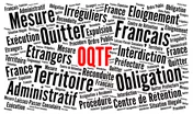 Le Conseil constitutionnel valide les dispositions refusant un visa pour non-exécution d’une OQTF dans les délais