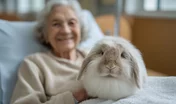 Pet therapy volunteer carrying a fluffy rabbit into a hospital room where an elderly woman lies in bed smiling, animal assisted therapy aging, pet ownership hospital benefit senior woman, emotional
